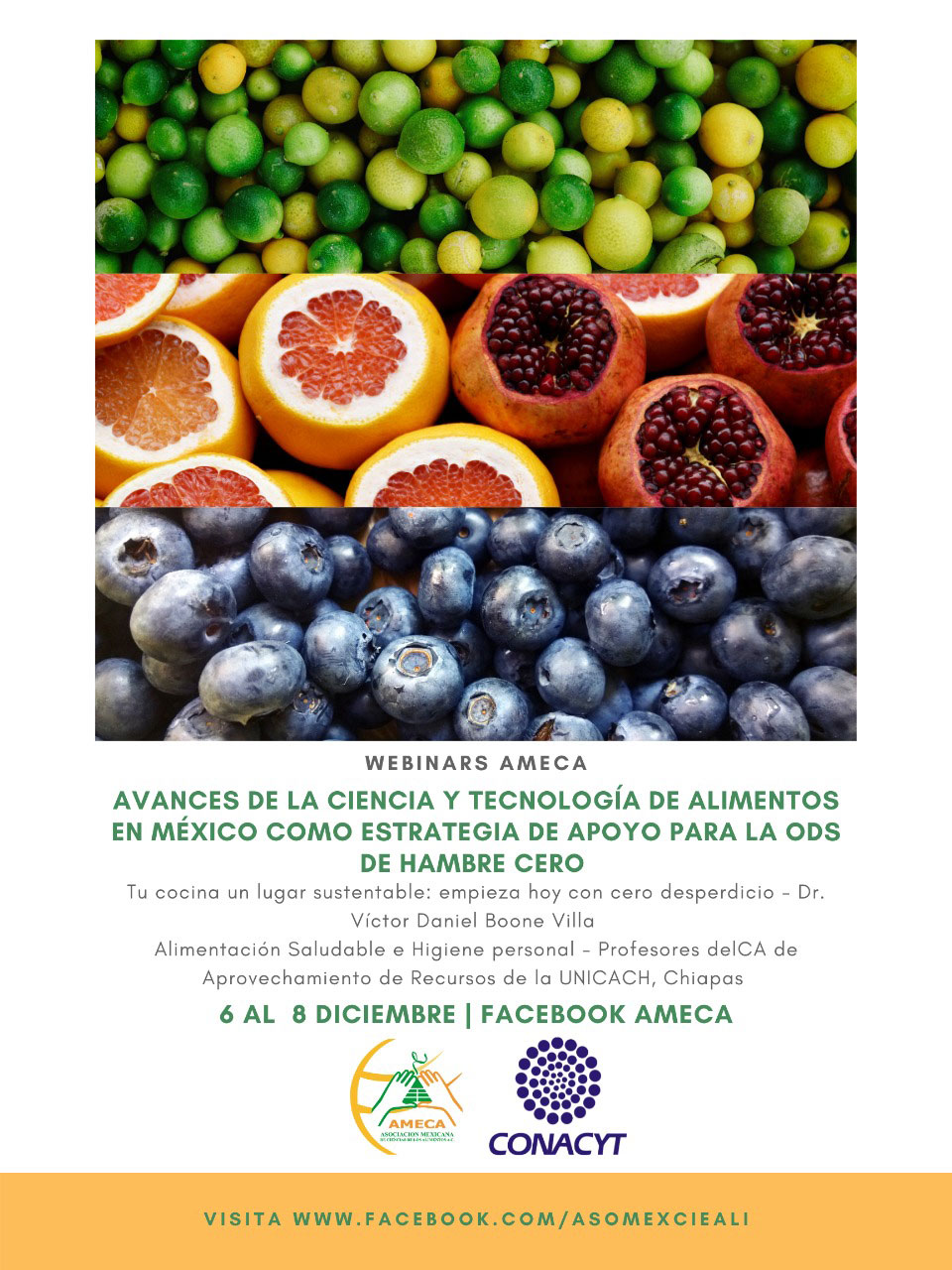 Avances de la Ciencia y Tecnología de Alimentos en México. Parte 2