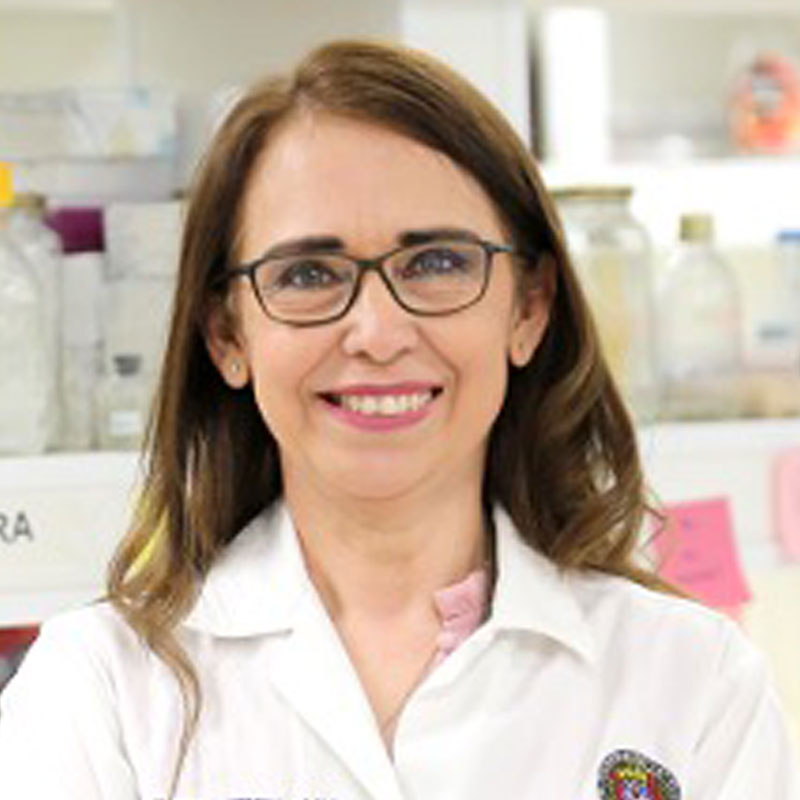 Dra. Norma Heredia. Pre-Congress Webinars - Latin Food 2022, Puebla, México - AMECA, AC