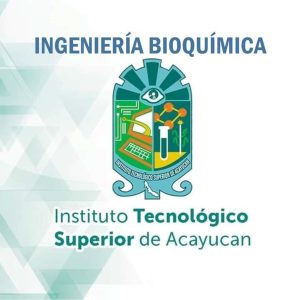 Seccion Estudiantil Tecnológico Superior Acayucan - Logotipo - AMECA, AC