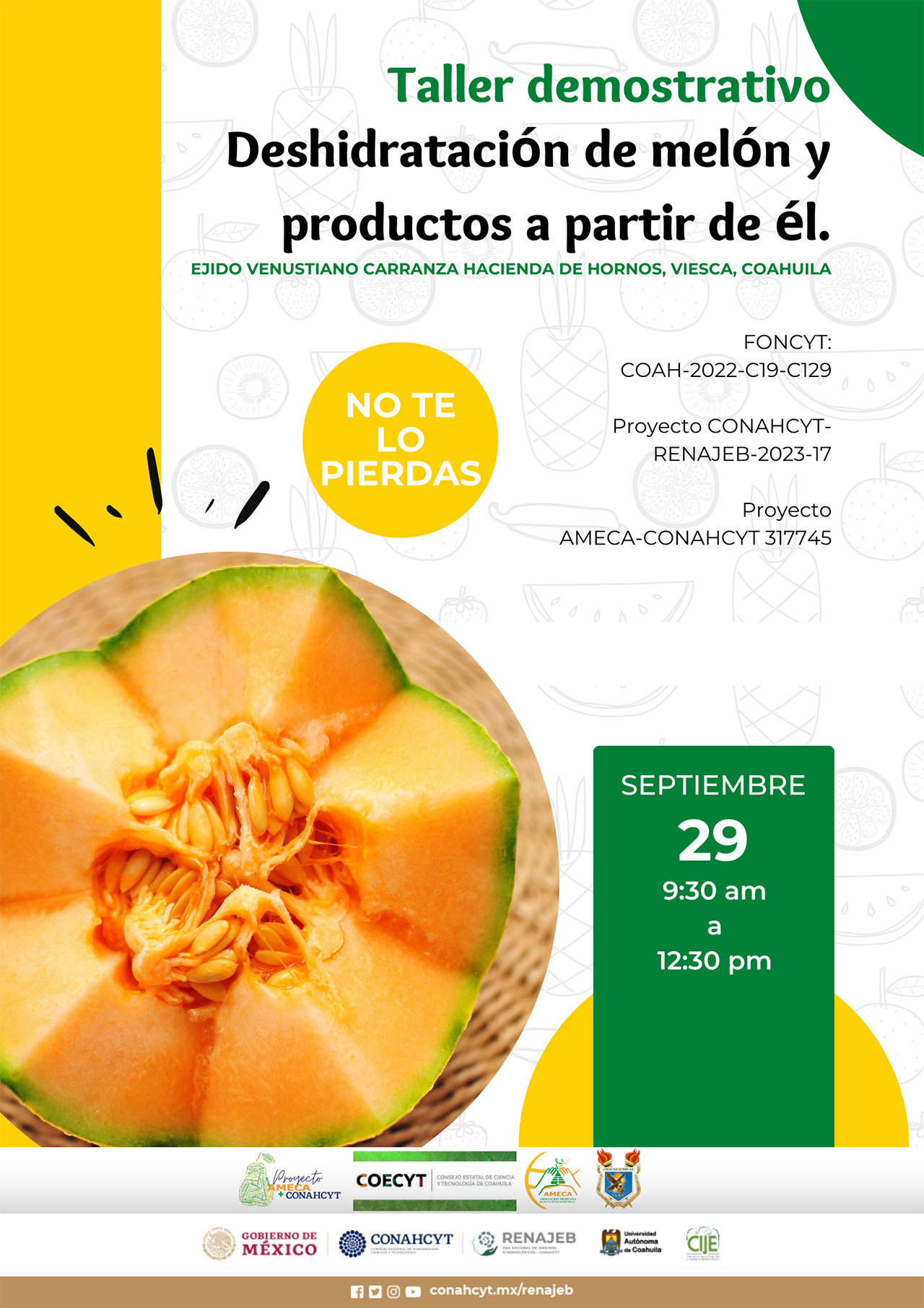 Taller Demostrativo: Deshidratación de melón y productos a partir de él. Viesca, Coahuila - AMECA, AC